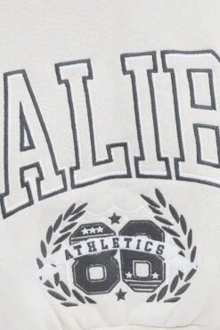 Beige Sweater Round Neck Long Sleeve Embroidery -Midi Dresses Style jc1337x 84w beige 6