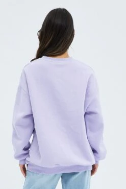 Purple Graphic Sweater Long Sleeve 12 Purple Graphic Sweater Long Sleeve -Midi Dresses Style jc1705e 84w lilac 5